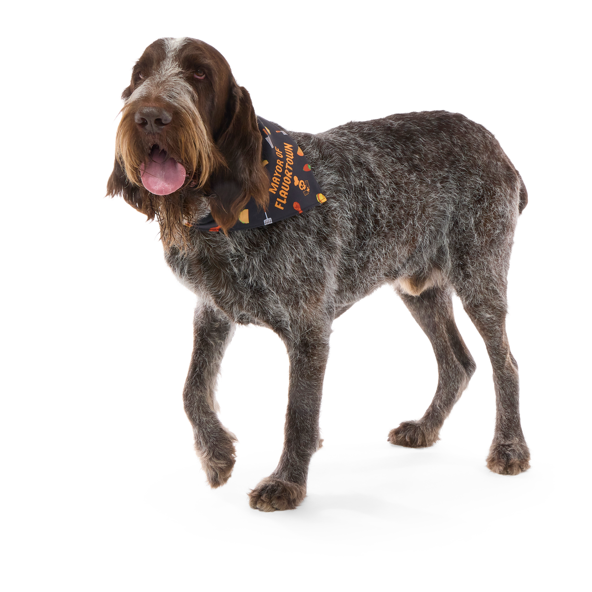 Flavortown™ Dog Bandana - Image 10