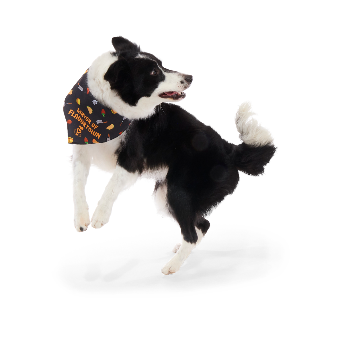 Flavortown™ Dog Bandana - Image 7