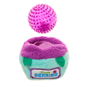 Blueberry Thrill Plush Multi-Part + Fetch + Enrichment Dog Toy