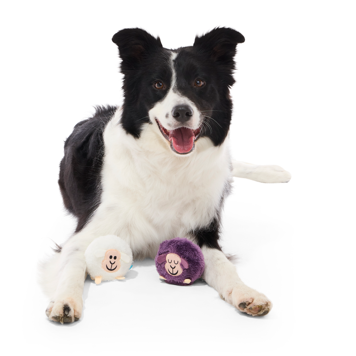 Good Sheep. Baa Sheep Plush Multi-Part + Fetch Dog Toy - Image 5