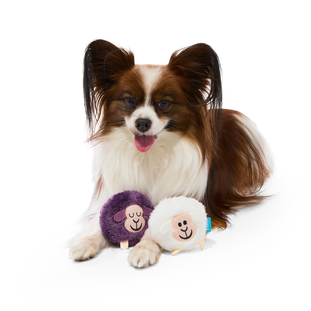 Good Sheep. Baa Sheep Plush Multi-Part + Fetch Dog Toy - Image 3