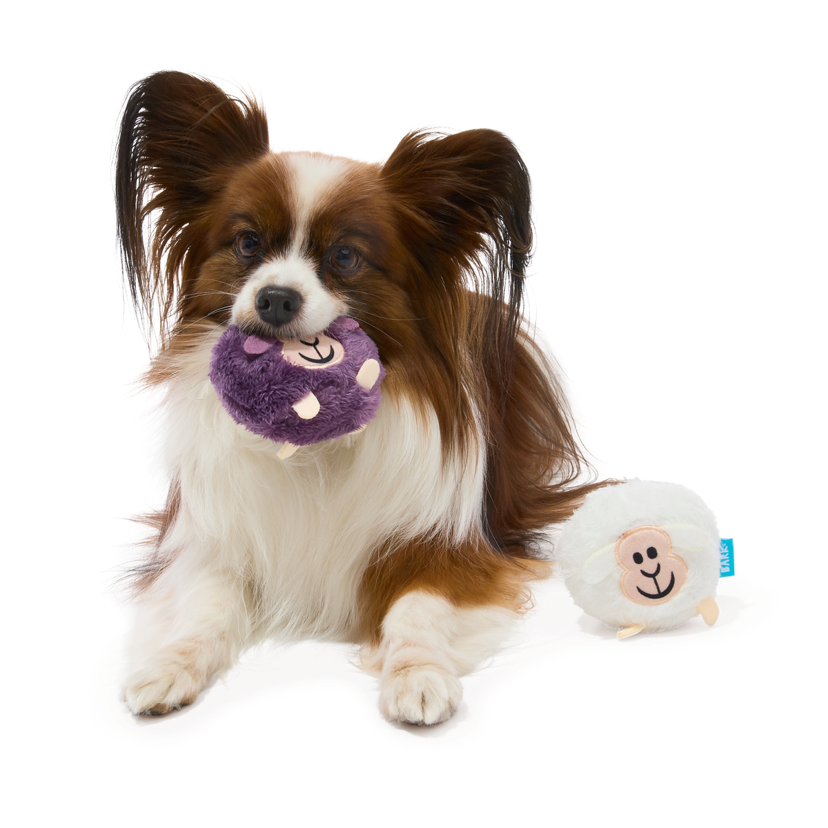 Good Sheep. Baa Sheep Plush Multi-Part + Fetch Dog Toy - Image 2