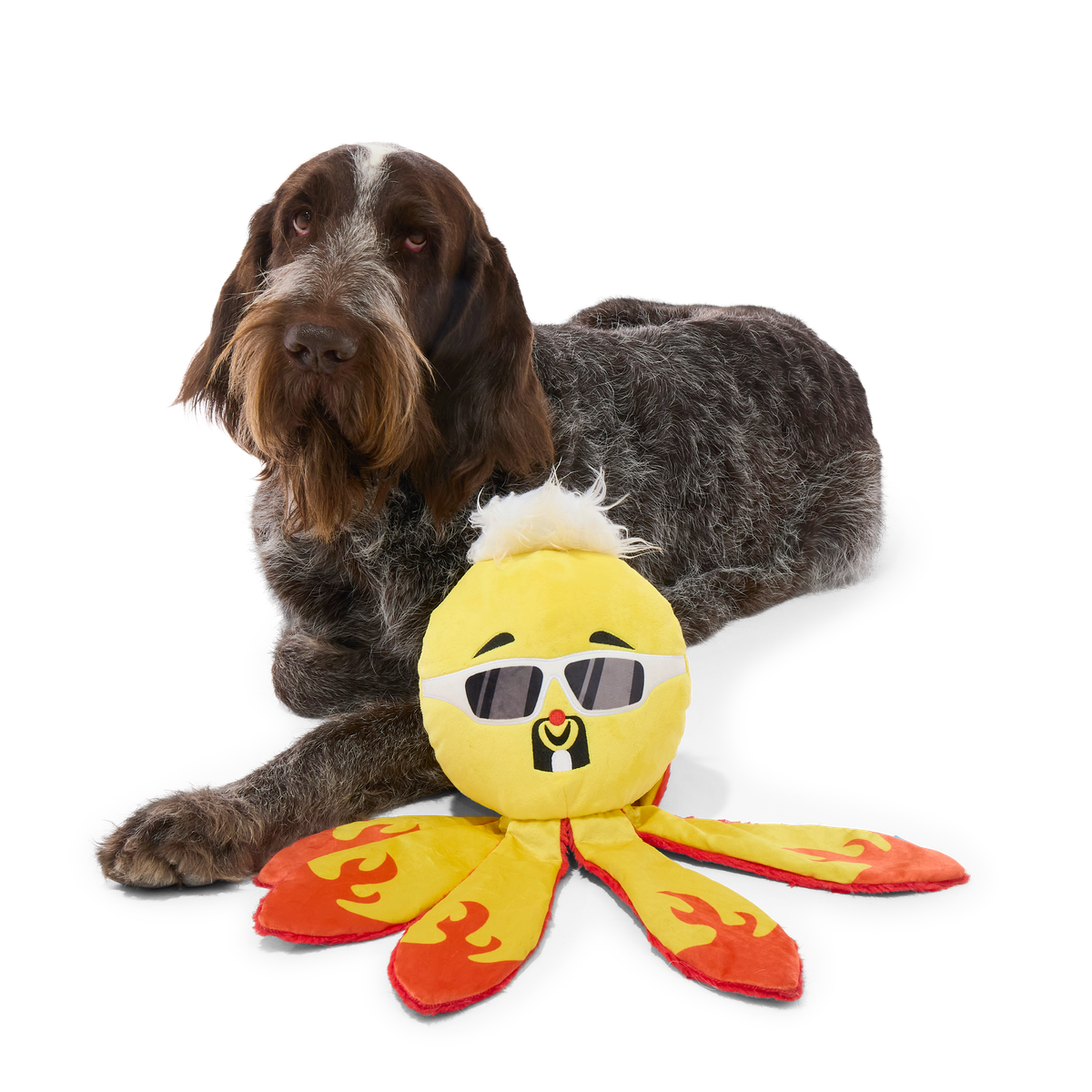 Off The Hook Ollie Plush Extra-Large + Tug Dog Toy - Image 3