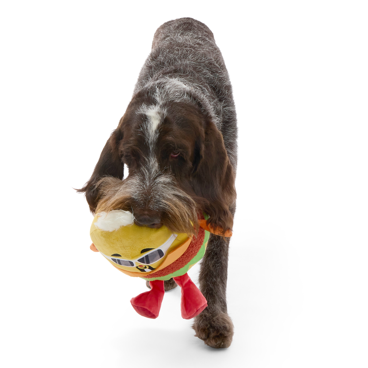 Flame-Grilled Fieri Plush Extra-Large + Tug Dog Toy - Image 5