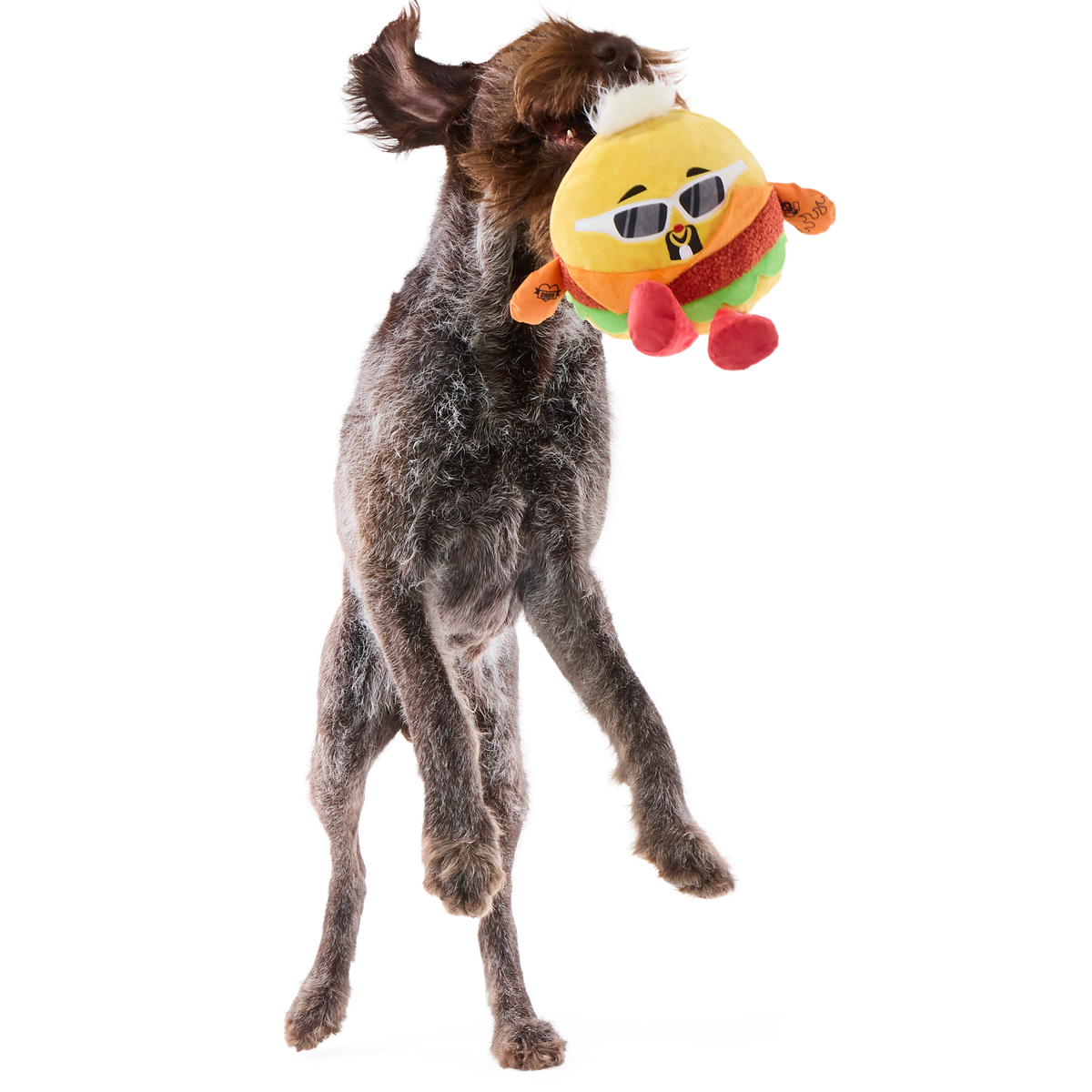 Flame-Grilled Fieri Plush Extra-Large + Tug Dog Toy - Image 3