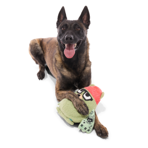 Bearista Plush Extra-Large + Tug Dog Toy