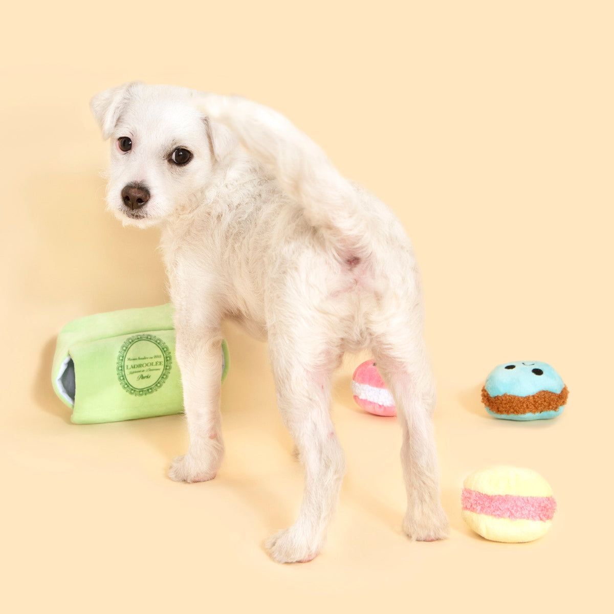 Wee Wee Macaroon Plush Multi-Part + Enrichment Dog Toy - Image 4