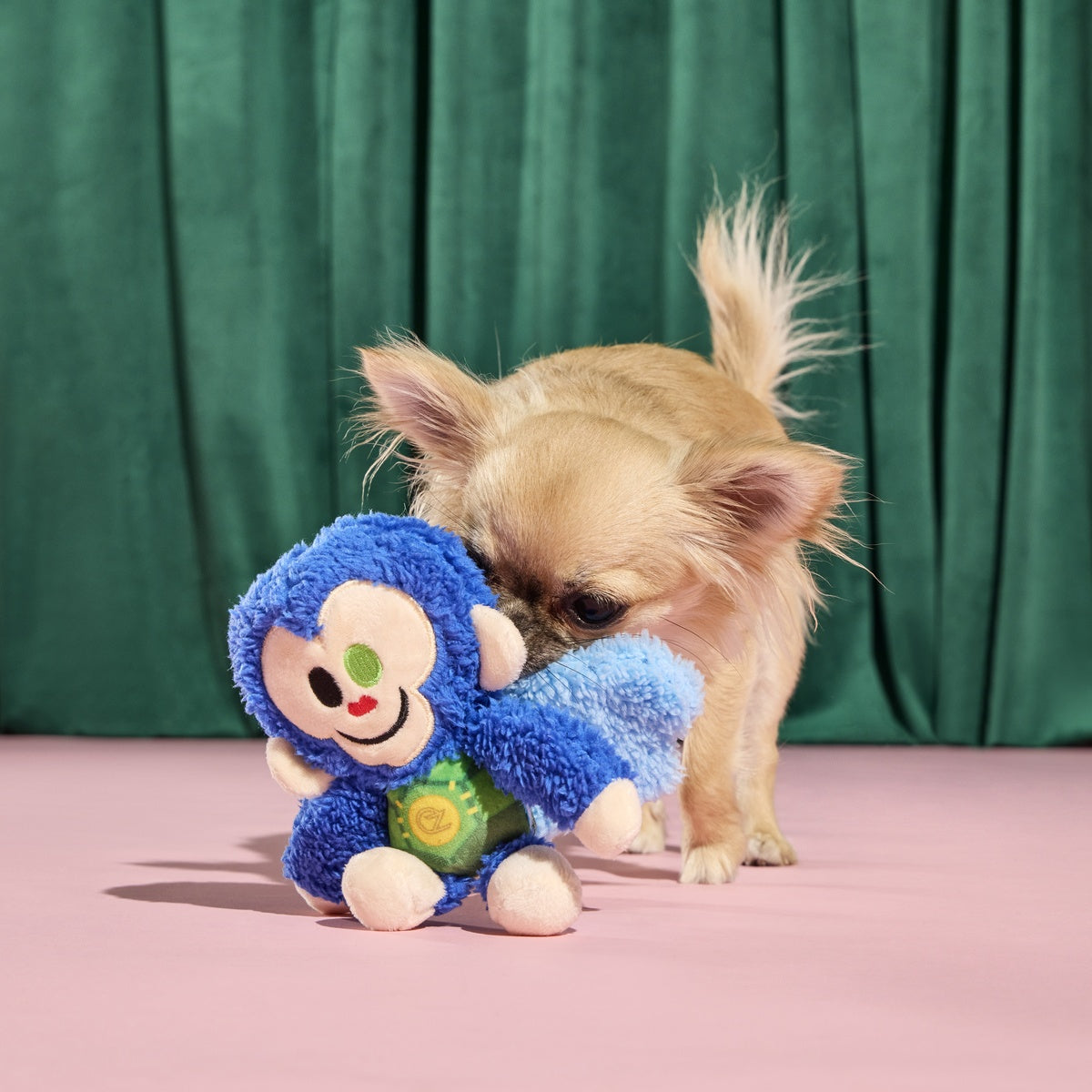 Defying Gravity Chistery Plush Tug Dog Toy - Image 2
