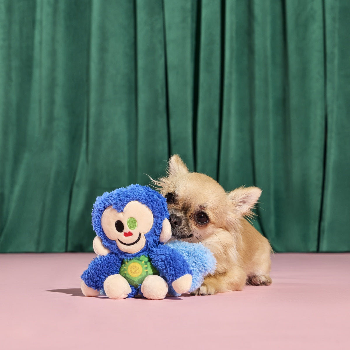 Defying Gravity Chistery Plush Tug Dog Toy - Image 9