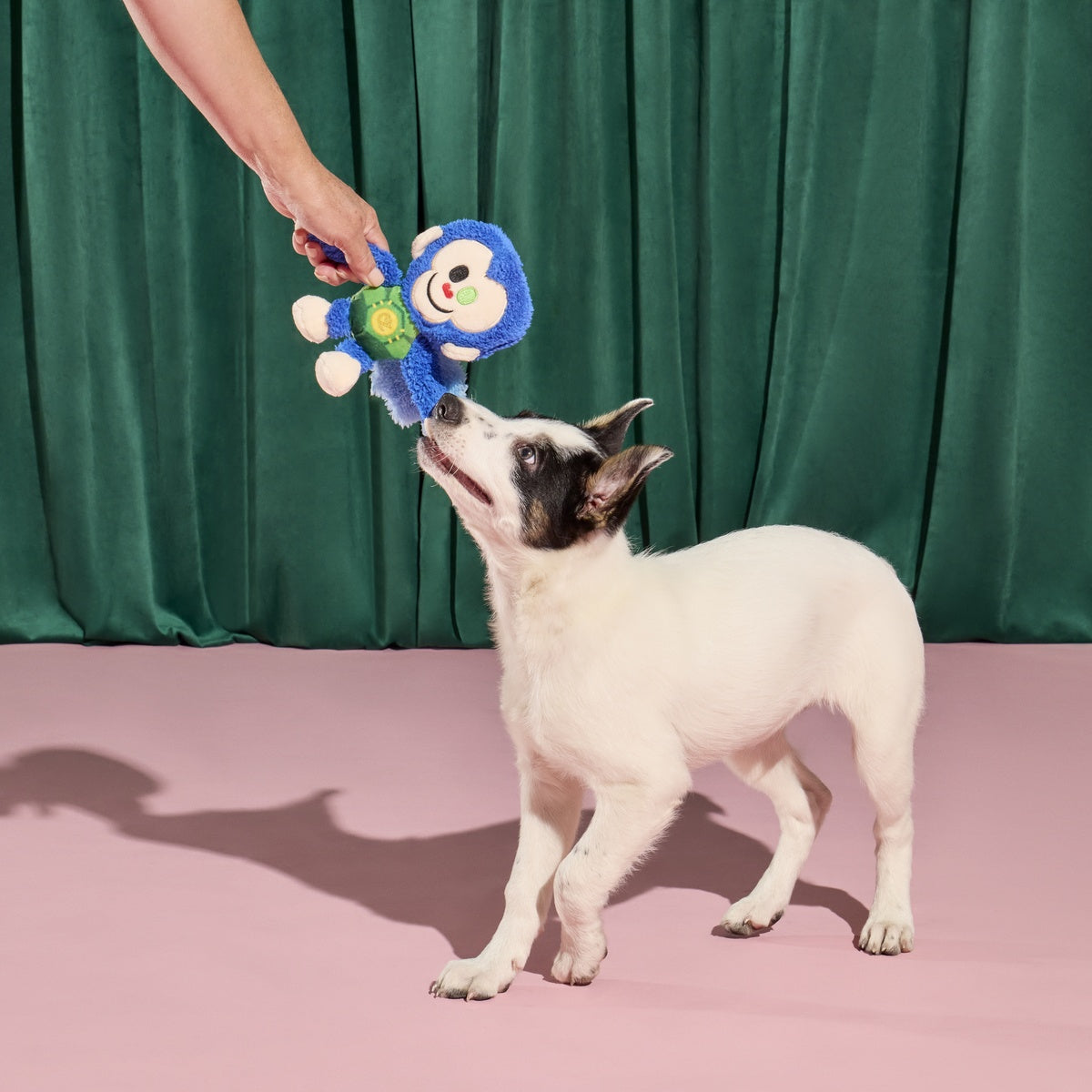 Defying Gravity Chistery Plush Tug Dog Toy - Image 7