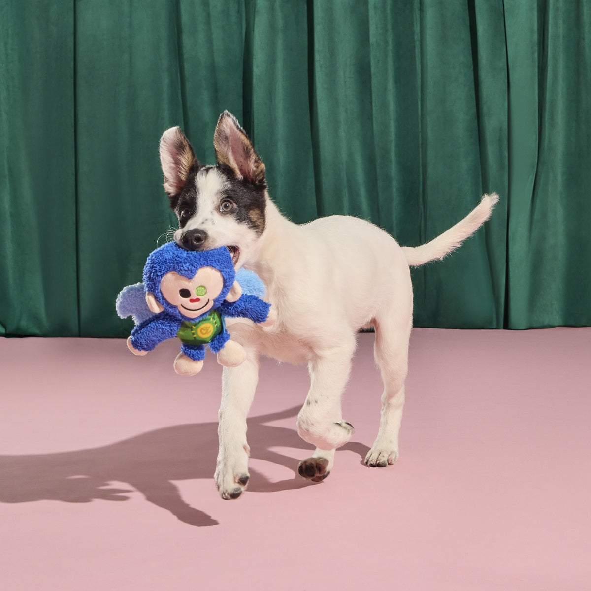 Defying Gravity Chistery Plush Tug Dog Toy - Image 8