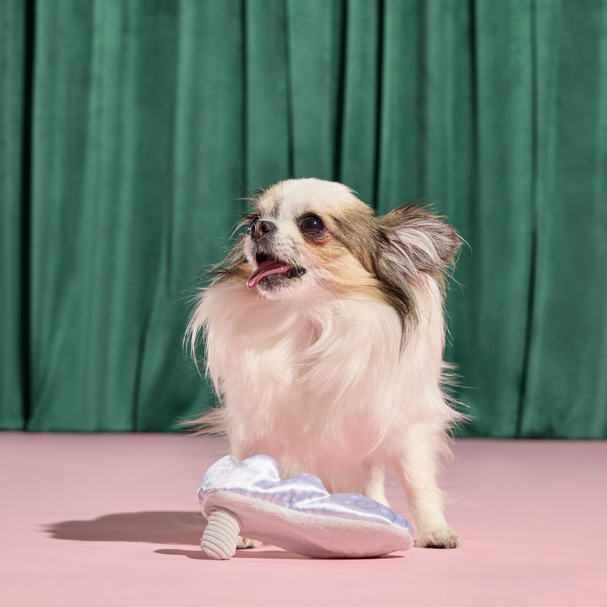 Nessa's Squeakin' Slipper Plush Enrichment Dog Toy - Image 5