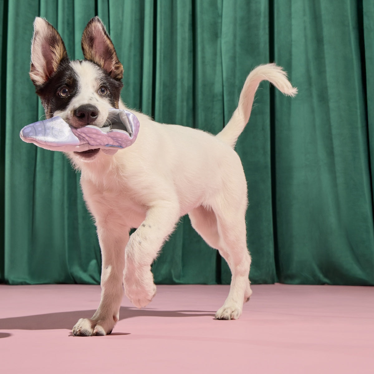 Nessa's Squeakin' Slipper Plush Enrichment Dog Toy - Image 7