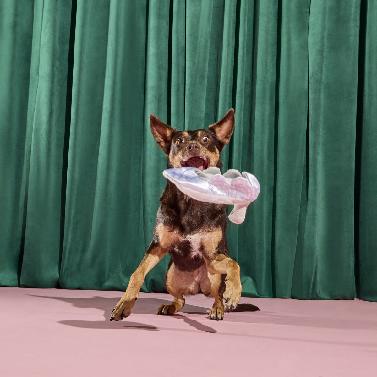 Nessa's Squeakin' Slipper Plush Enrichment Dog Toy - Image 9