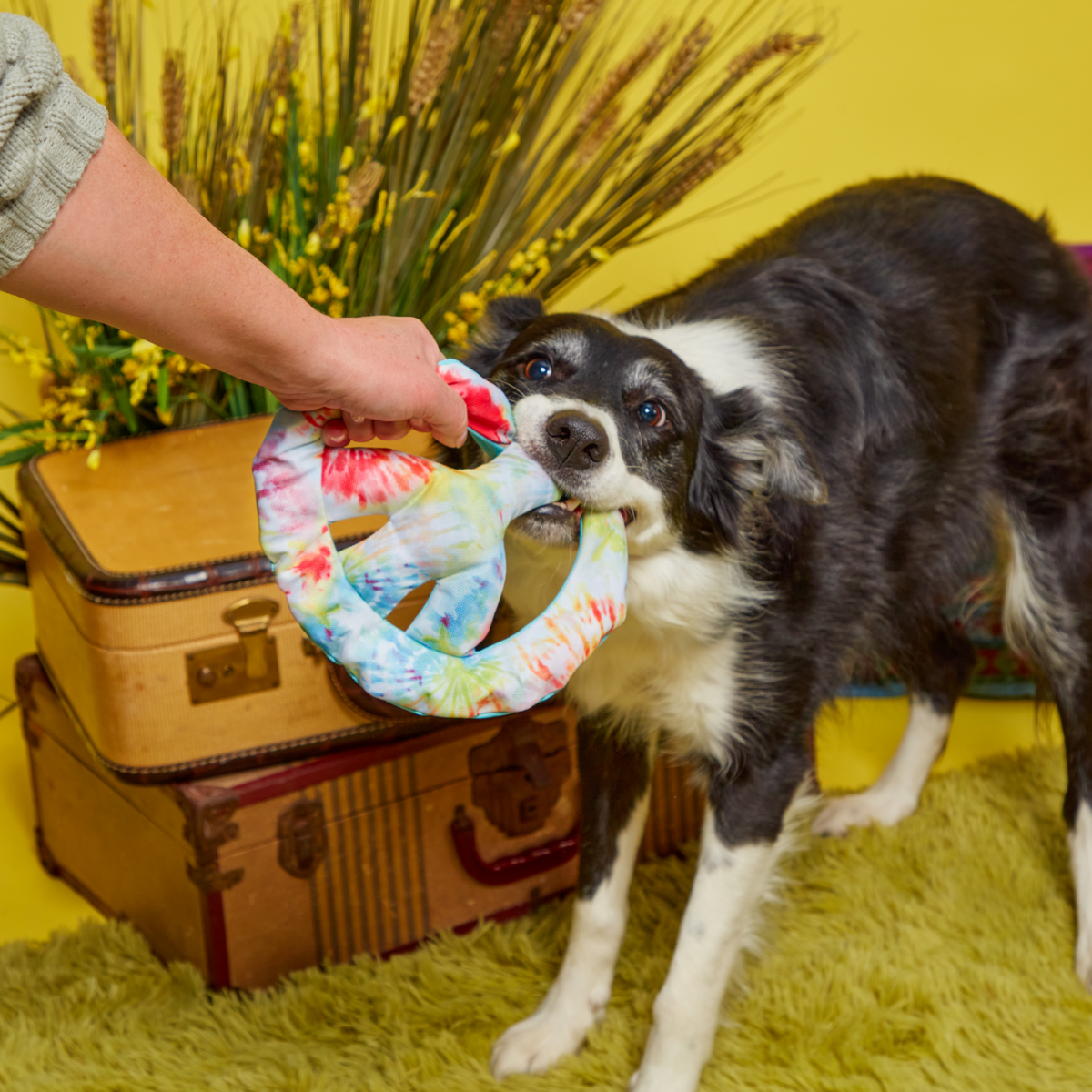 Give Peace a Tug Plush Dog Toy - Image 2