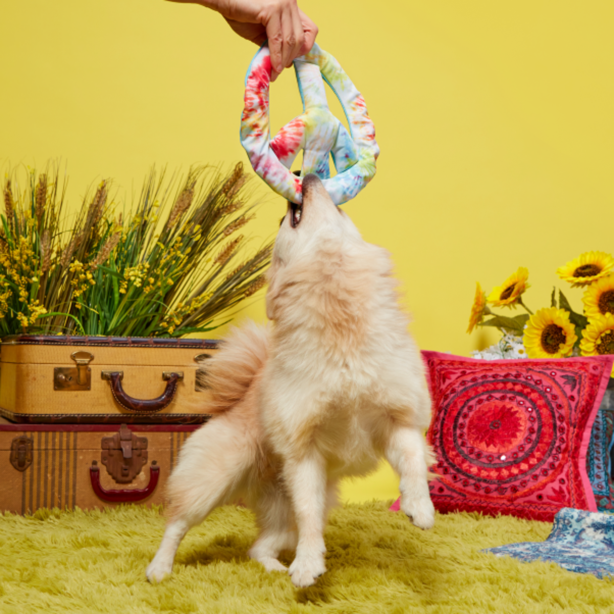 Give Peace a Tug Plush Dog Toy - Image 3