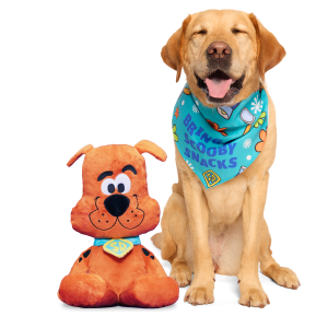 Scooby-Doo™ Bundle Plush Extra-Large Dog Toy