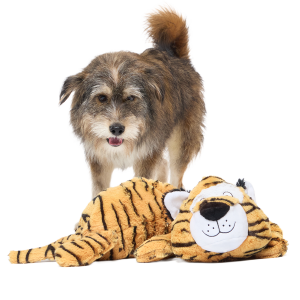 Benji the Bouncing Tiger Plush Extra-Large + Tug Dog Toy