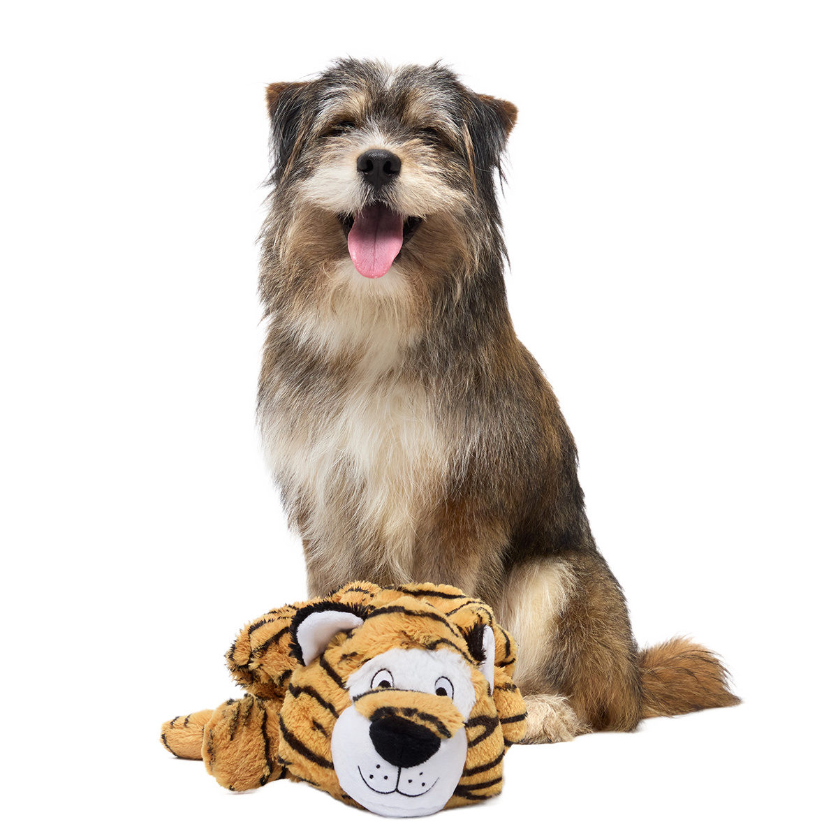 Benji the Bouncing Tiger Plush Extra-Large + Tug Dog Toy - Image 3