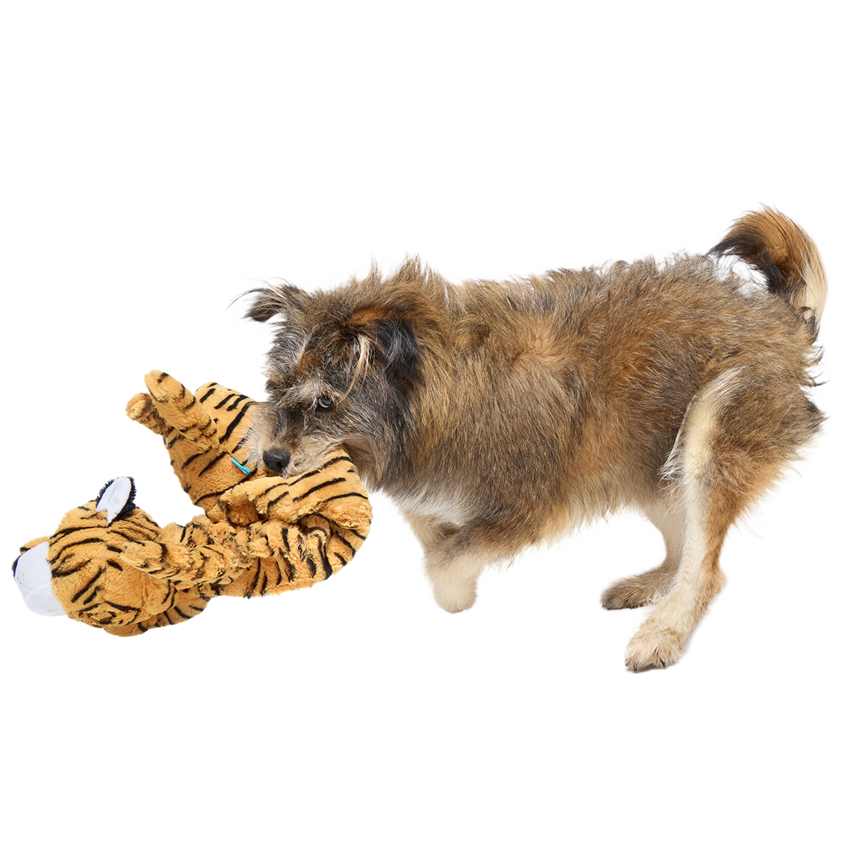 Benji the Bouncing Tiger Plush Extra-Large + Tug Dog Toy - Image 4