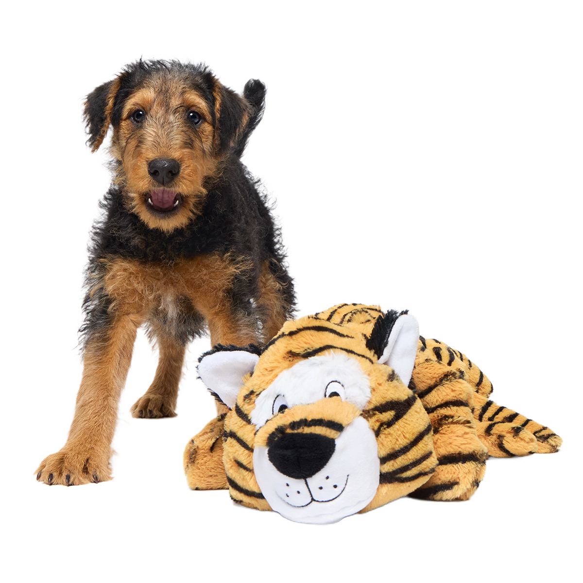 Benji the Bouncing Tiger Plush Extra-Large + Tug Dog Toy - Image 6