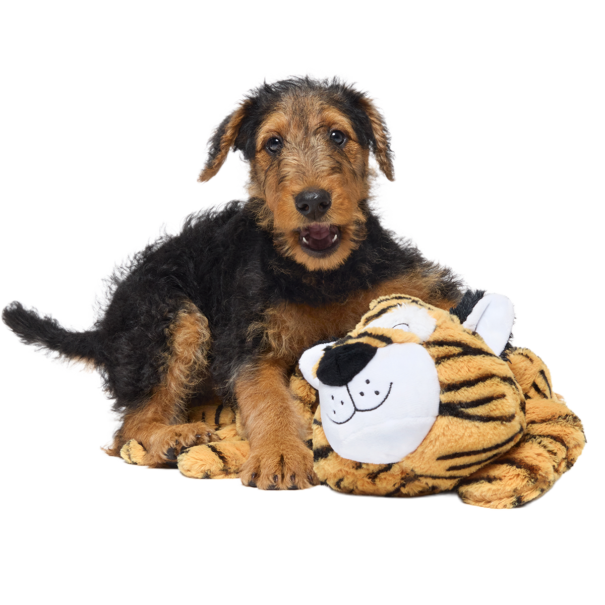 Benji the Bouncing Tiger Plush Extra-Large + Tug Dog Toy - Image 5