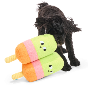 Big Ice Pop Plush Extra-Large + Tug Dog Toy
