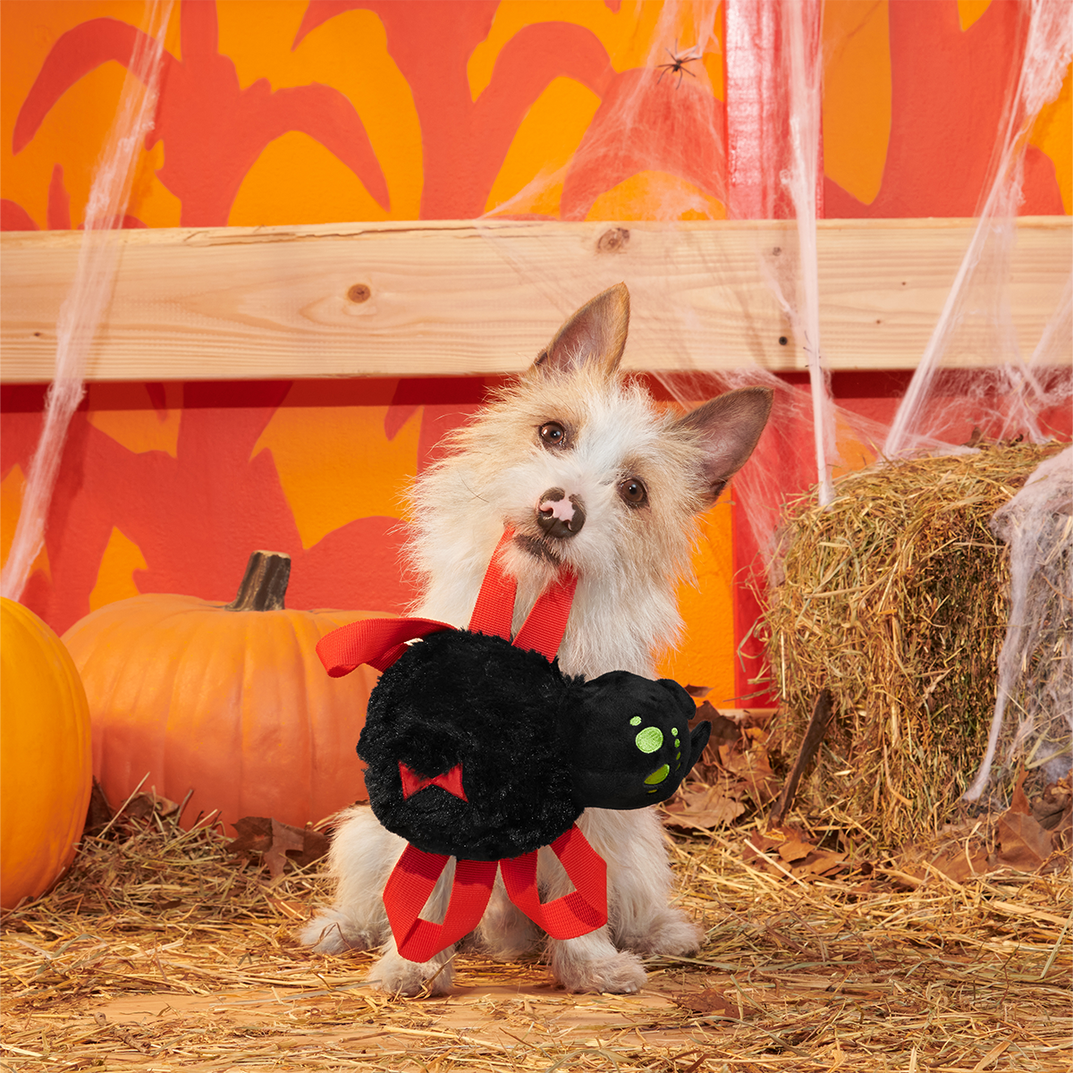 Blake Widow Plush Tug Dog Toy - Image 4