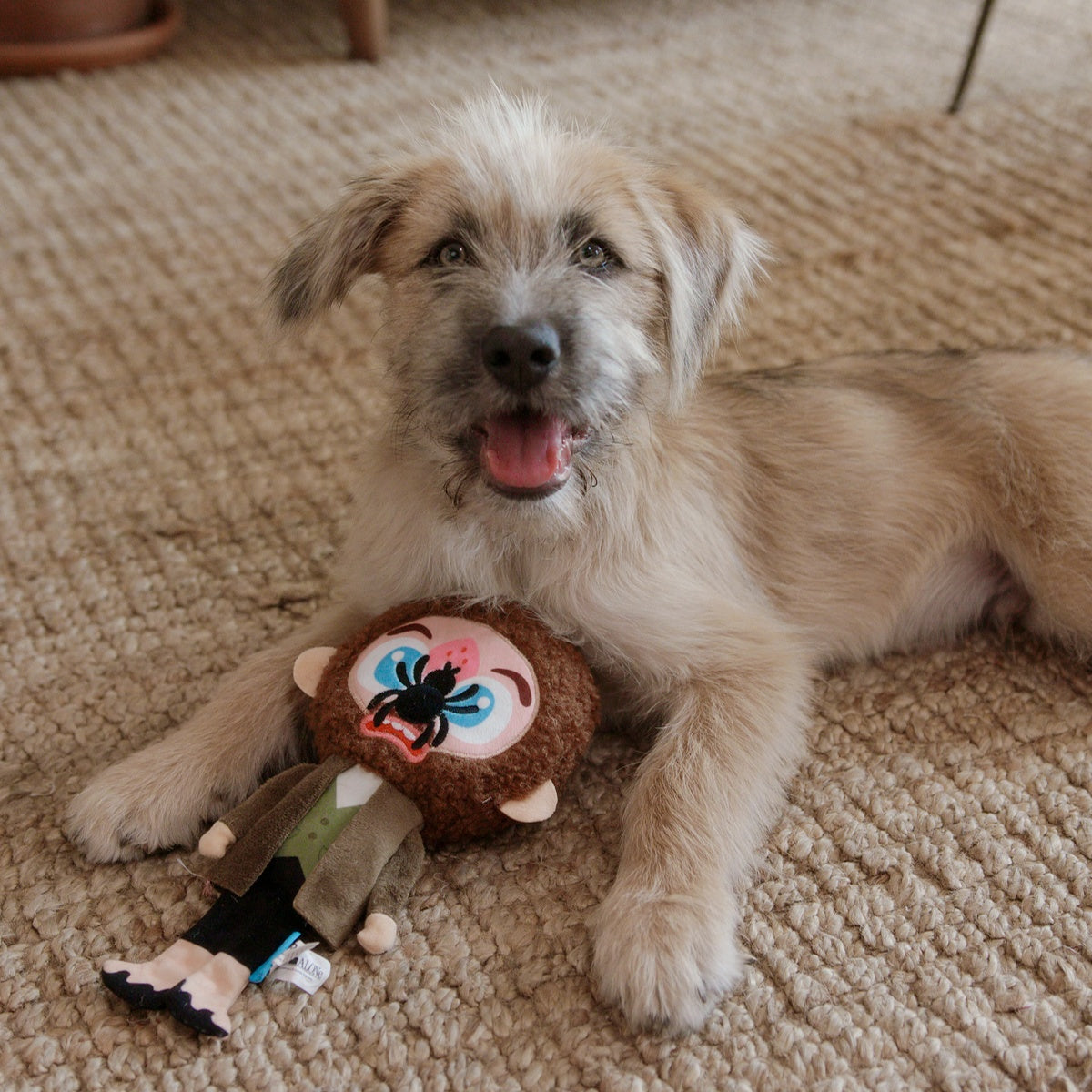 Marv Plush Tug Dog Toy - Image 6