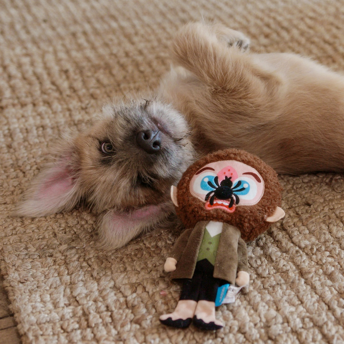 Marv Plush Tug Dog Toy - Image 8