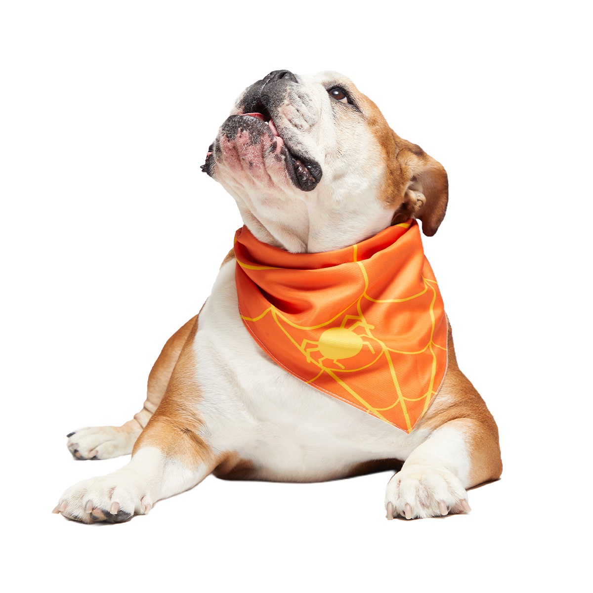 Candy Corn Dog Bandana - Image 4