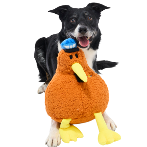 Captain Kiwi Plush Extra-Large Tug Dog Toy