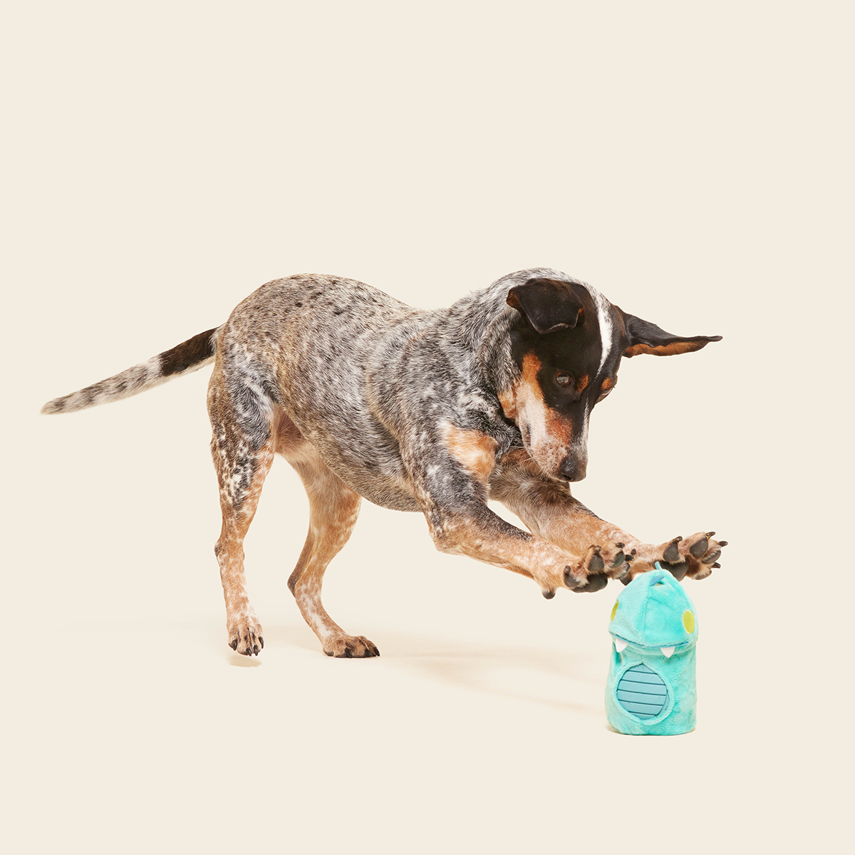 Chomposaurus Super Chewer Durable 2-in-1 Dog Toy - Image 4