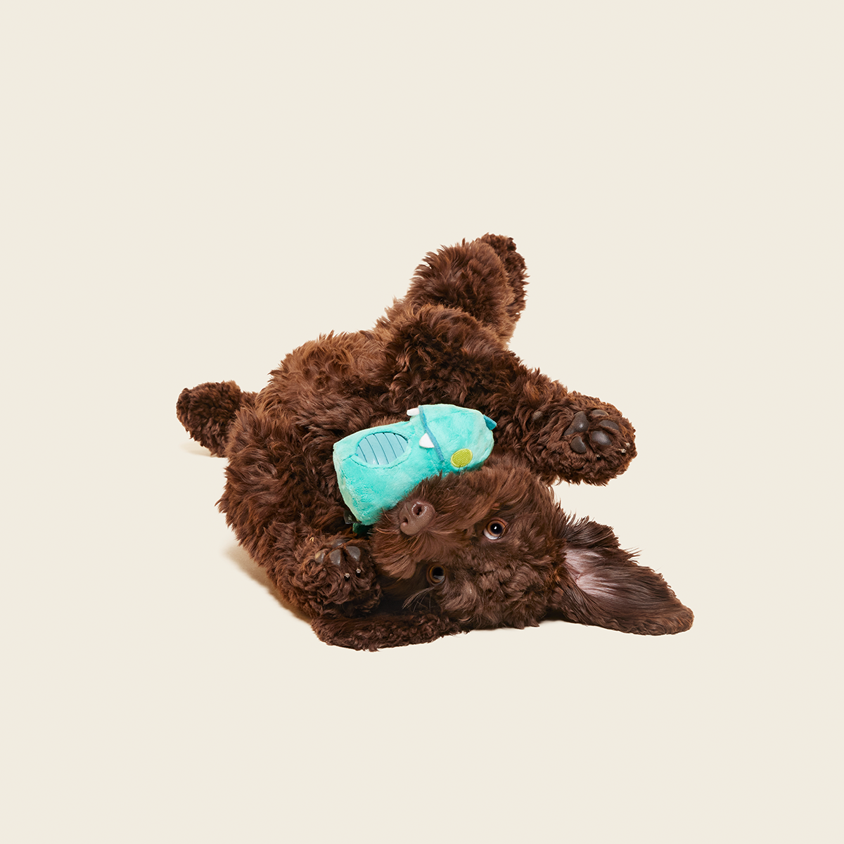 Chomposaurus Super Chewer Durable 2-in-1 Dog Toy - Image 3