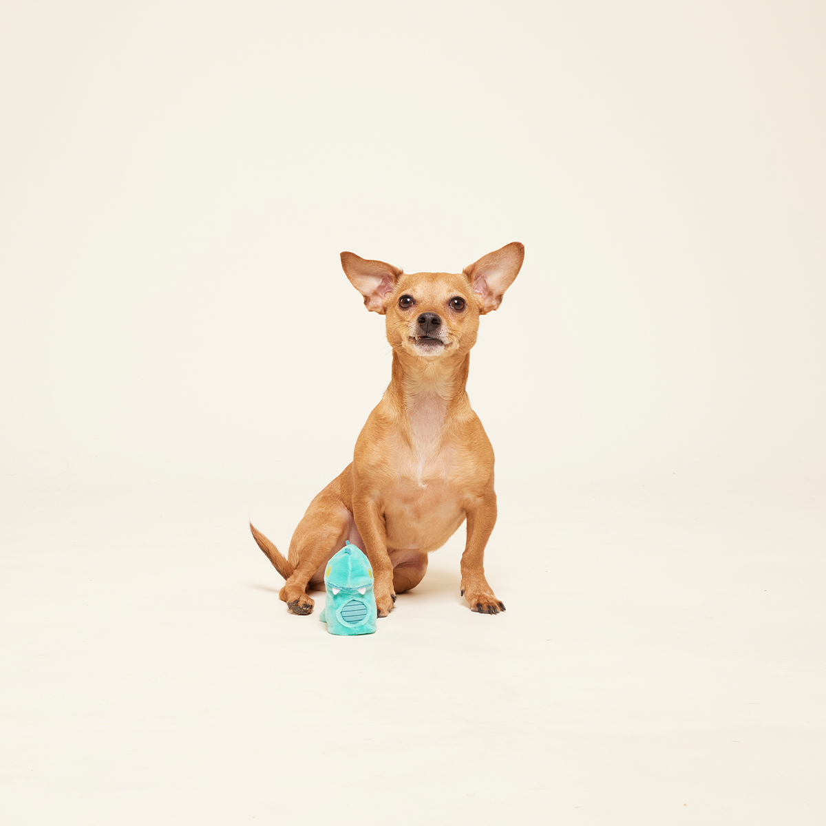 Chomposaurus Super Chewer Durable 2-in-1 Dog Toy - Image 2