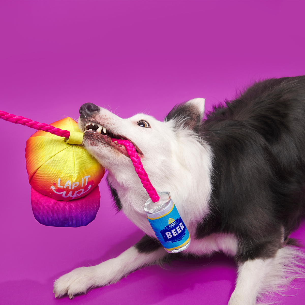 Chug n' Tug Hat Plush Dog Toy - Image 4
