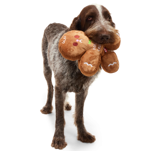 The Crumbum King Plush Extra-Large + Tug Dog Toy