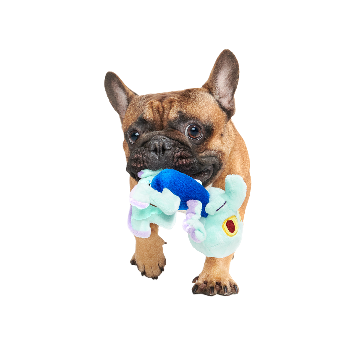 Dancing Squidward Plush Tug Dog Toy - Image 4