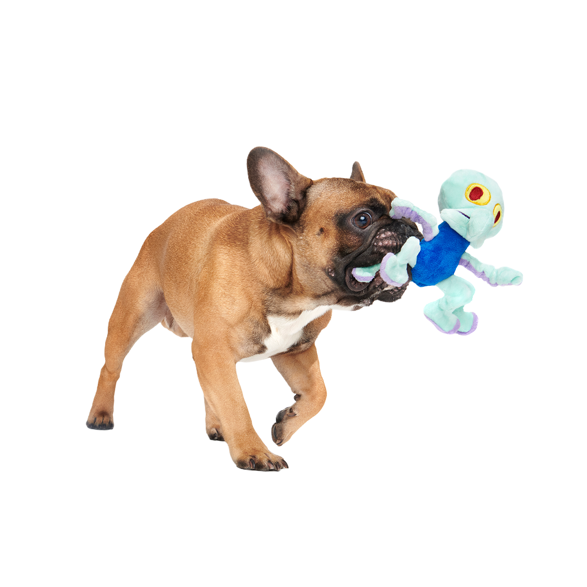 Dancing Squidward Plush Tug Dog Toy - Image 3