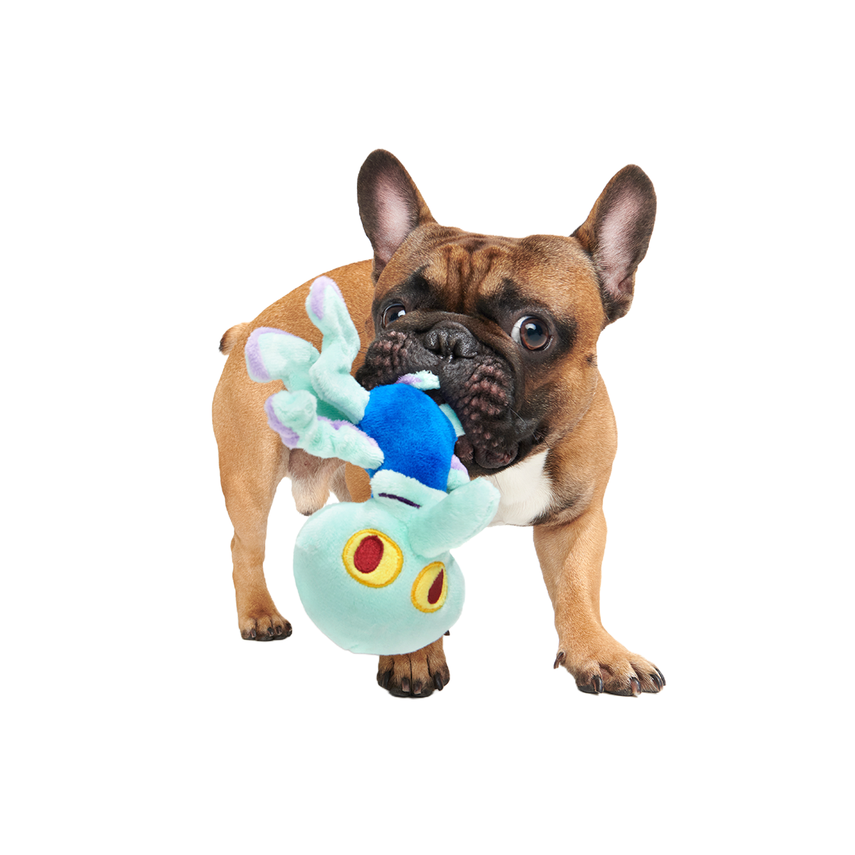 Dancing Squidward Plush Tug Dog Toy - Image 2