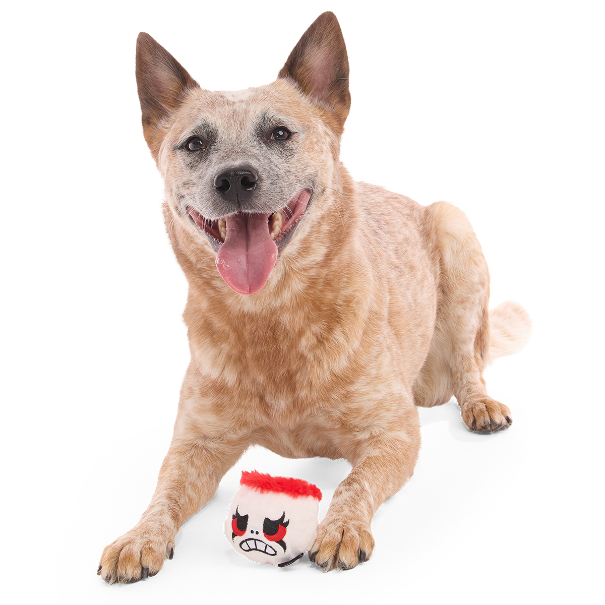 Dead Head Super Chewer Durable 2-in-1 + Fetch Dog Toy - Image 6