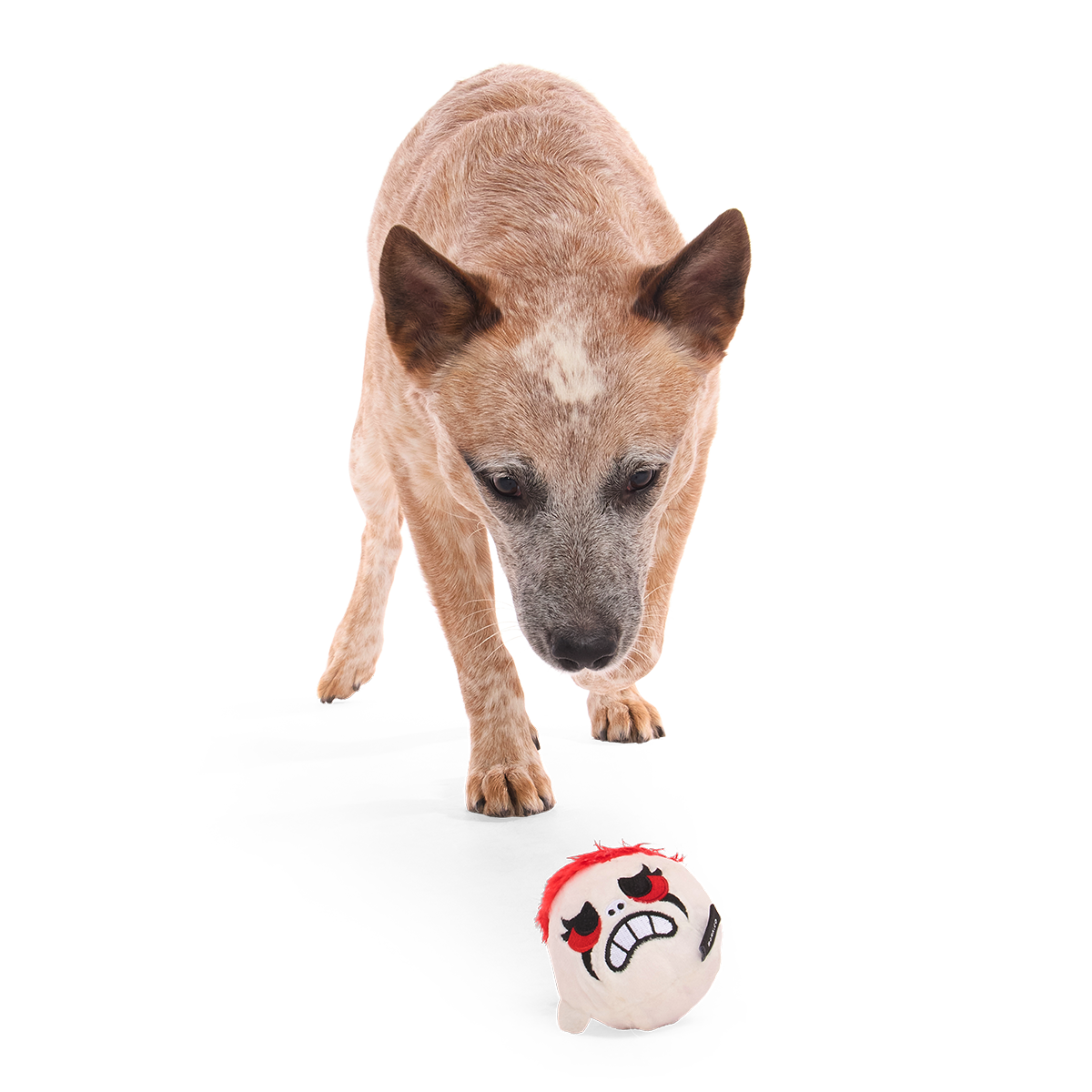 Dead Head Super Chewer Durable 2-in-1 + Fetch Dog Toy - Image 5