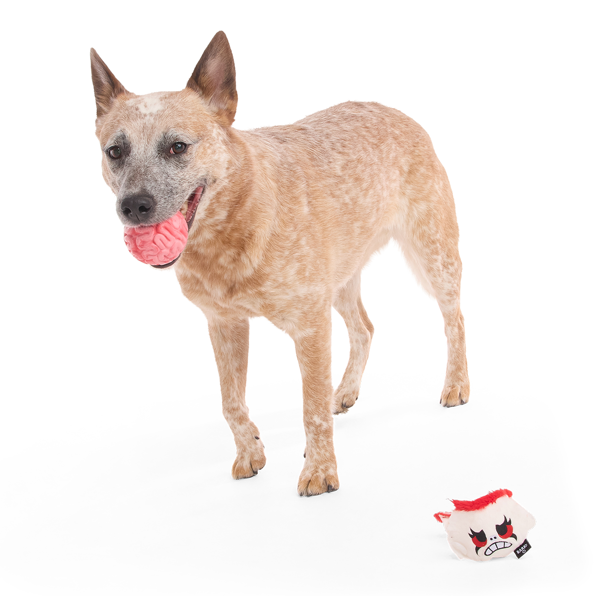 Dead Head Super Chewer Durable 2-in-1 + Fetch Dog Toy - Image 2