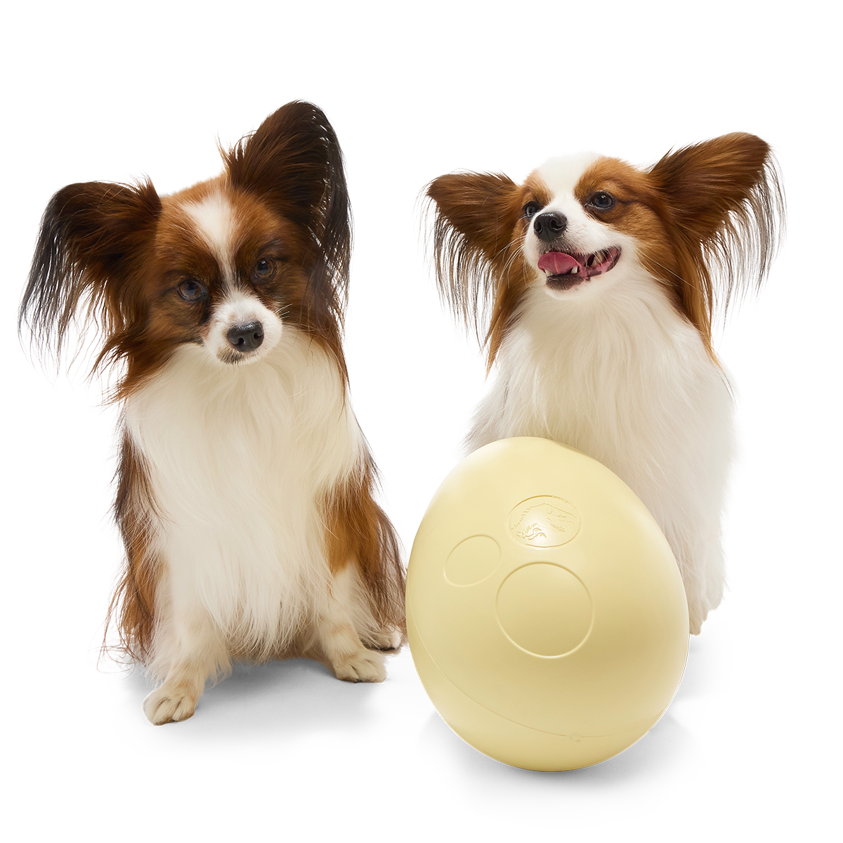 Dinosaur Egg Super Chewer Durable Extra-Large + Fetch Dog Toy - Image 7