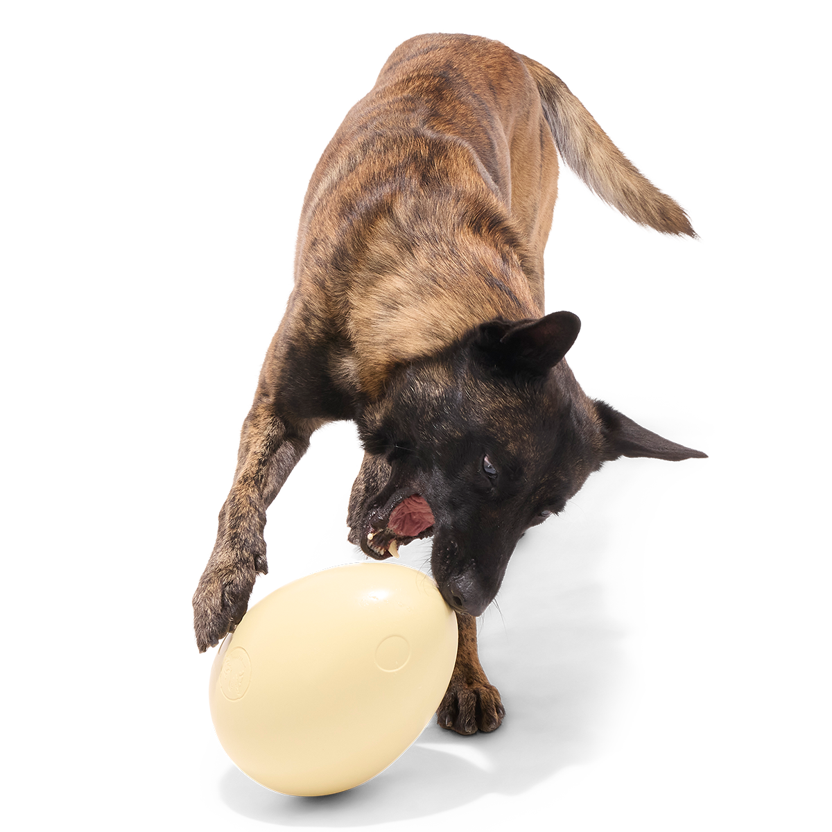 Dinosaur Egg Super Chewer Durable Extra-Large + Fetch Dog Toy - Image 4
