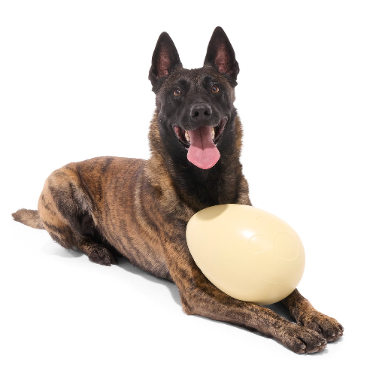 Dinosaur Egg Super Chewer Durable Extra-Large + Fetch Dog Toy - Image 3