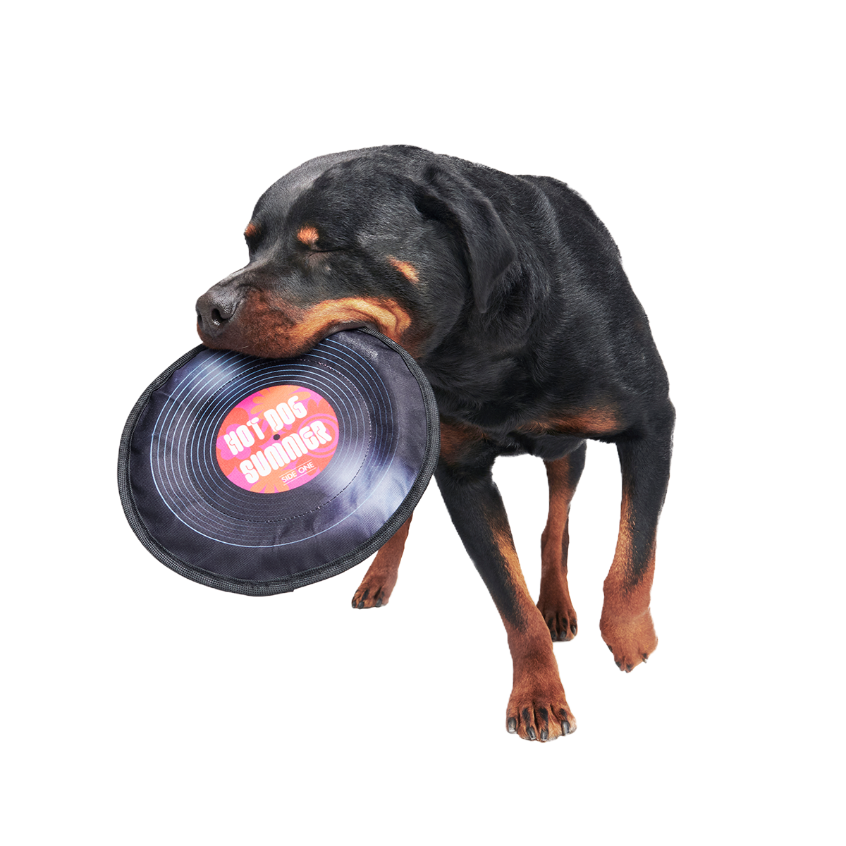 Disco Doggo Disc Super Chewer Durable Fetch Dog Toy - Image 5