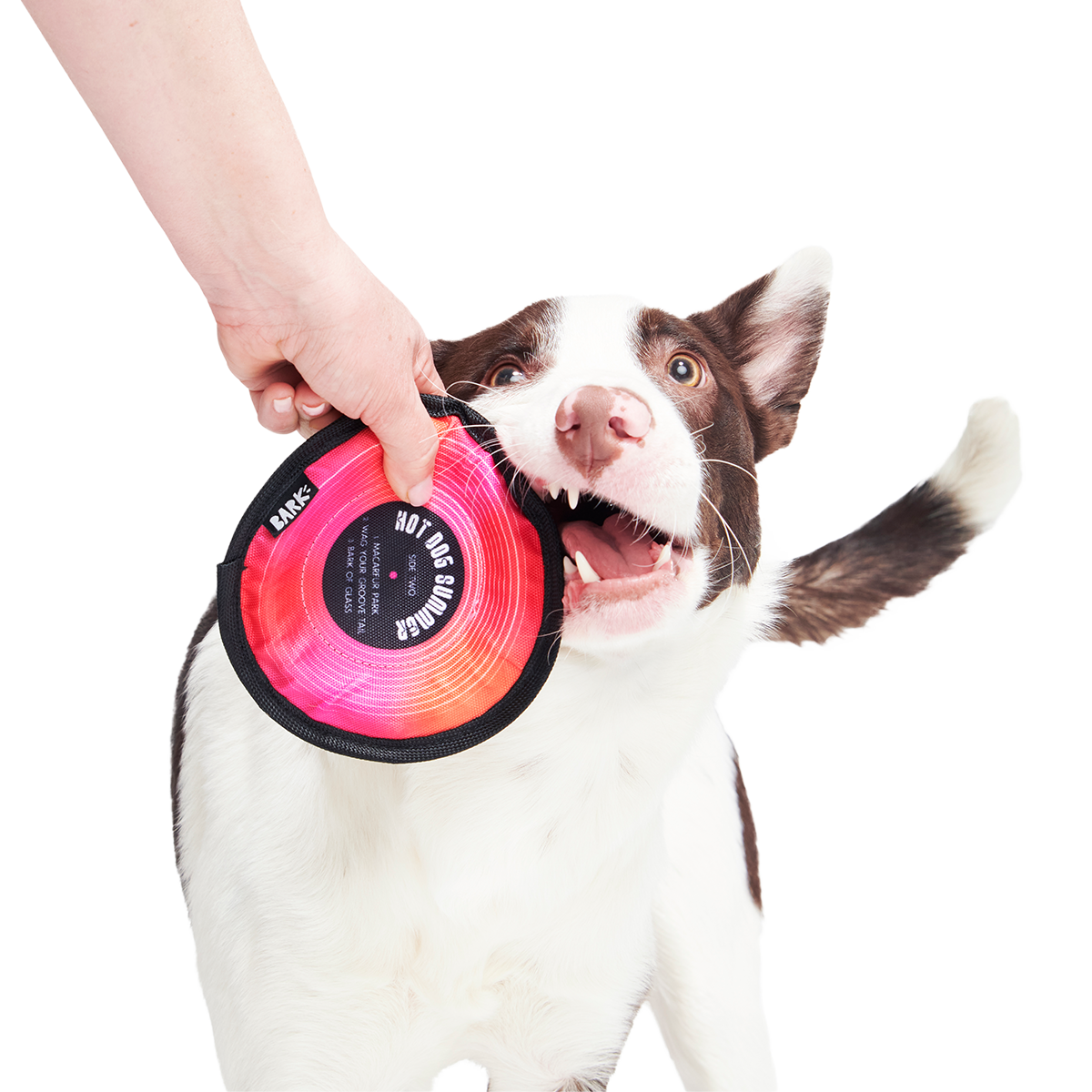 Disco Doggo Disc Super Chewer Durable Fetch Dog Toy - Image 4