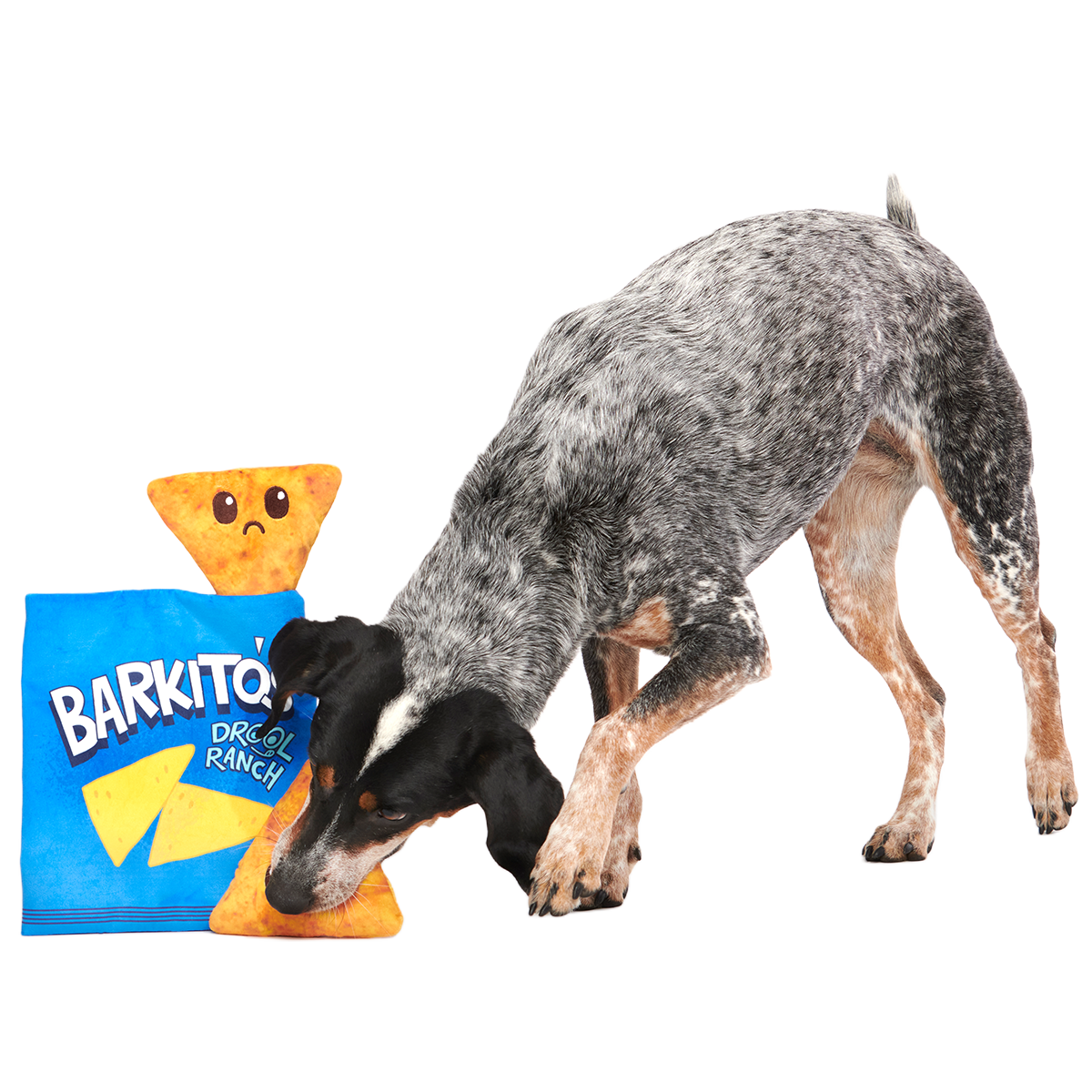 Drool Ranch Chips Plush Enrichment + Multi-Part Dog Toy - Image 4