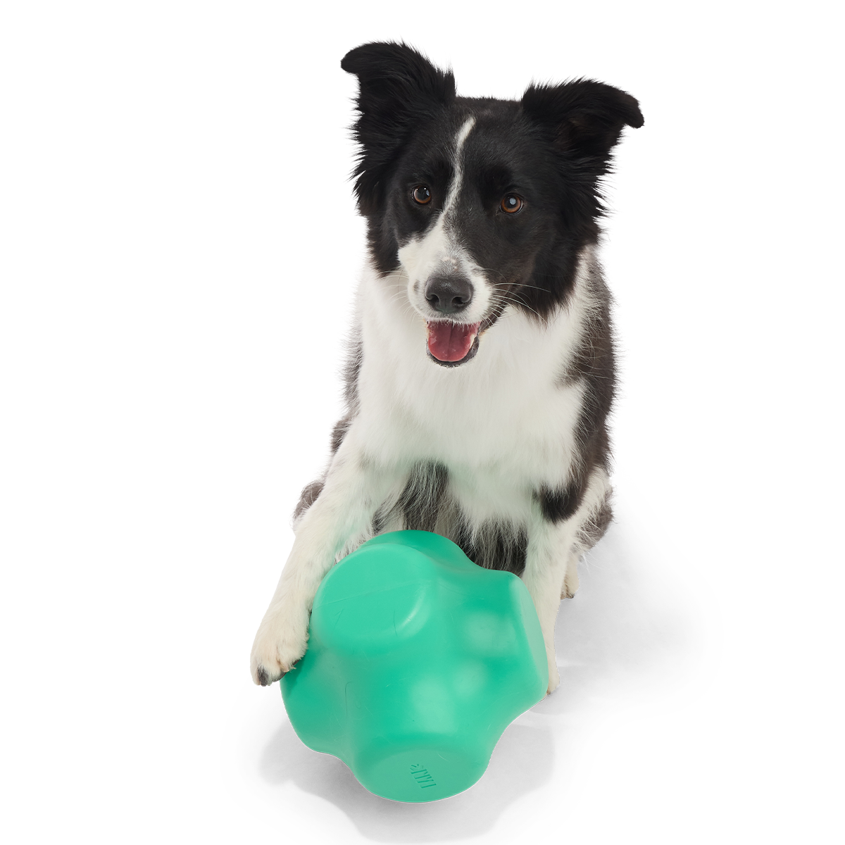 Evergreen Bolder Super Chewer Durable Gnaw Dog Toy - Image 4